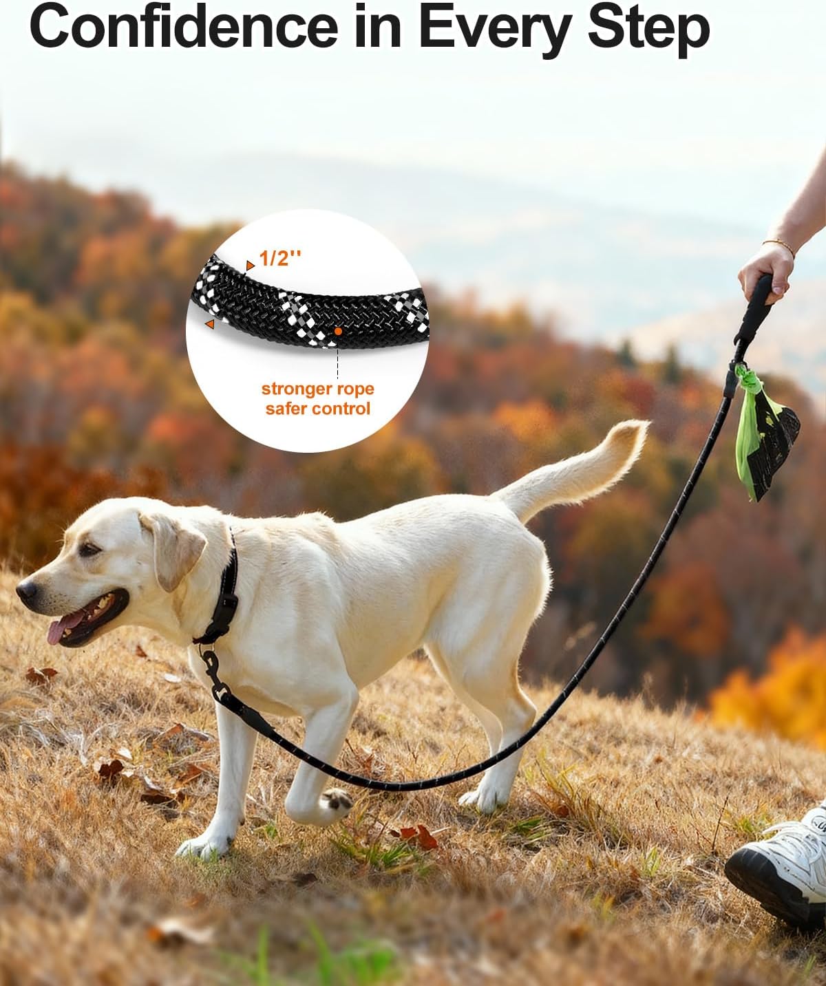 Dog Leash for Large Dogs, Heavy Duty Nylon Leashes with Comfortable Padded Handle and Highly Reflective Threads, Ideal Walking Training, Black, 6'×1/2'' Black 6FT×1/2'' (20~120 lbs) - Image 2
