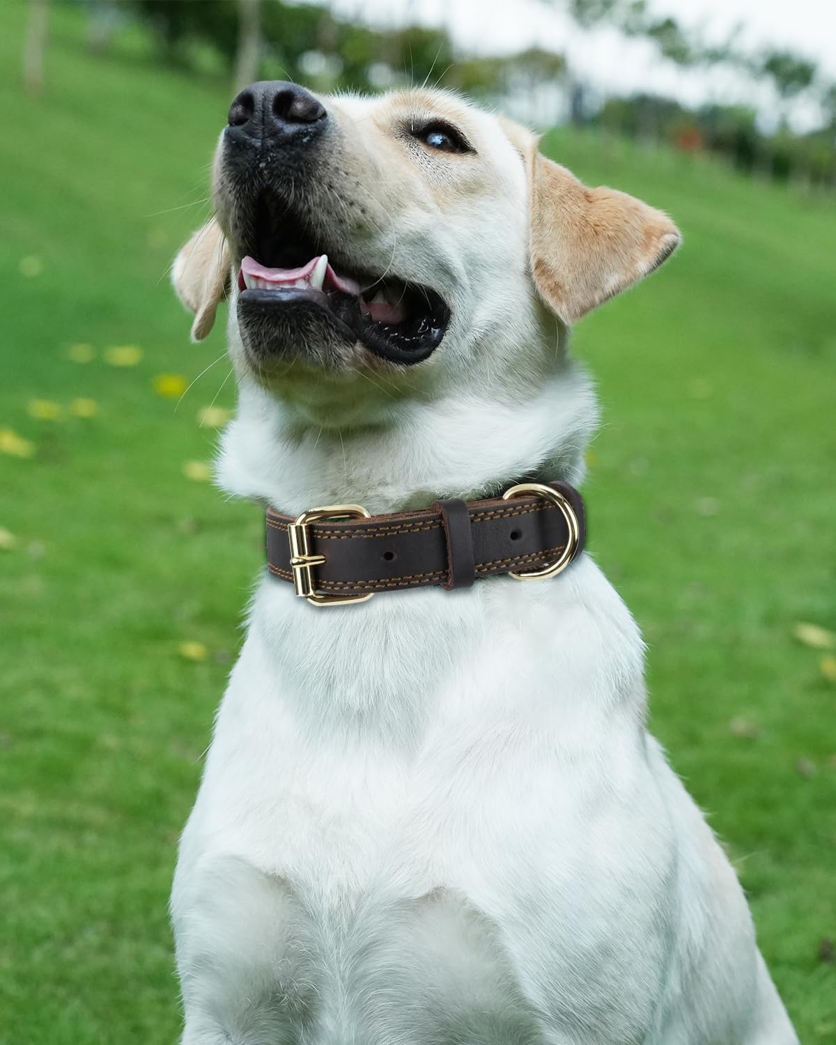 Genuine Leather Dog Collar for Large Dogs, Heavy Duty Thick Solid Power Breeds, Sturdy Adjustable Pet with Metal Pin Buckle, Durable Daily Walking, Brown, L Brown - Image 2