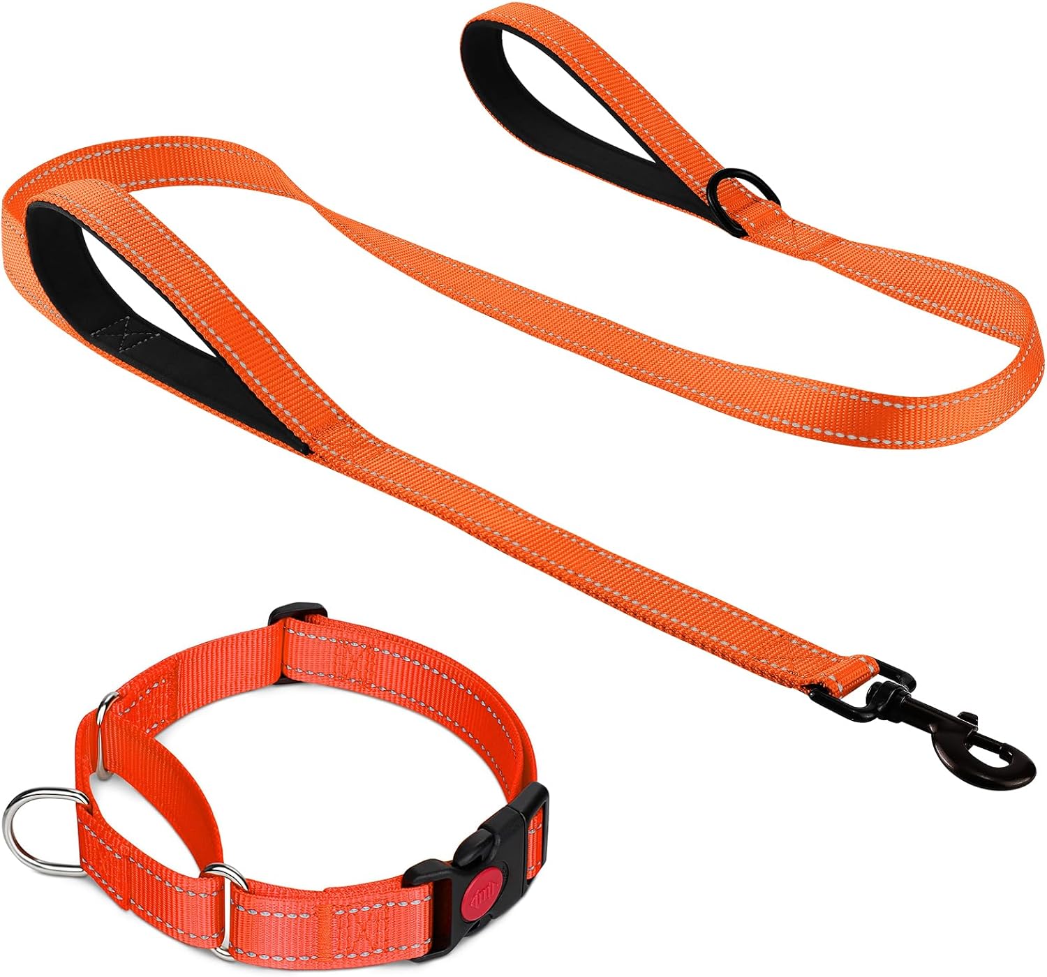 Martingale Dog Collar(16-20