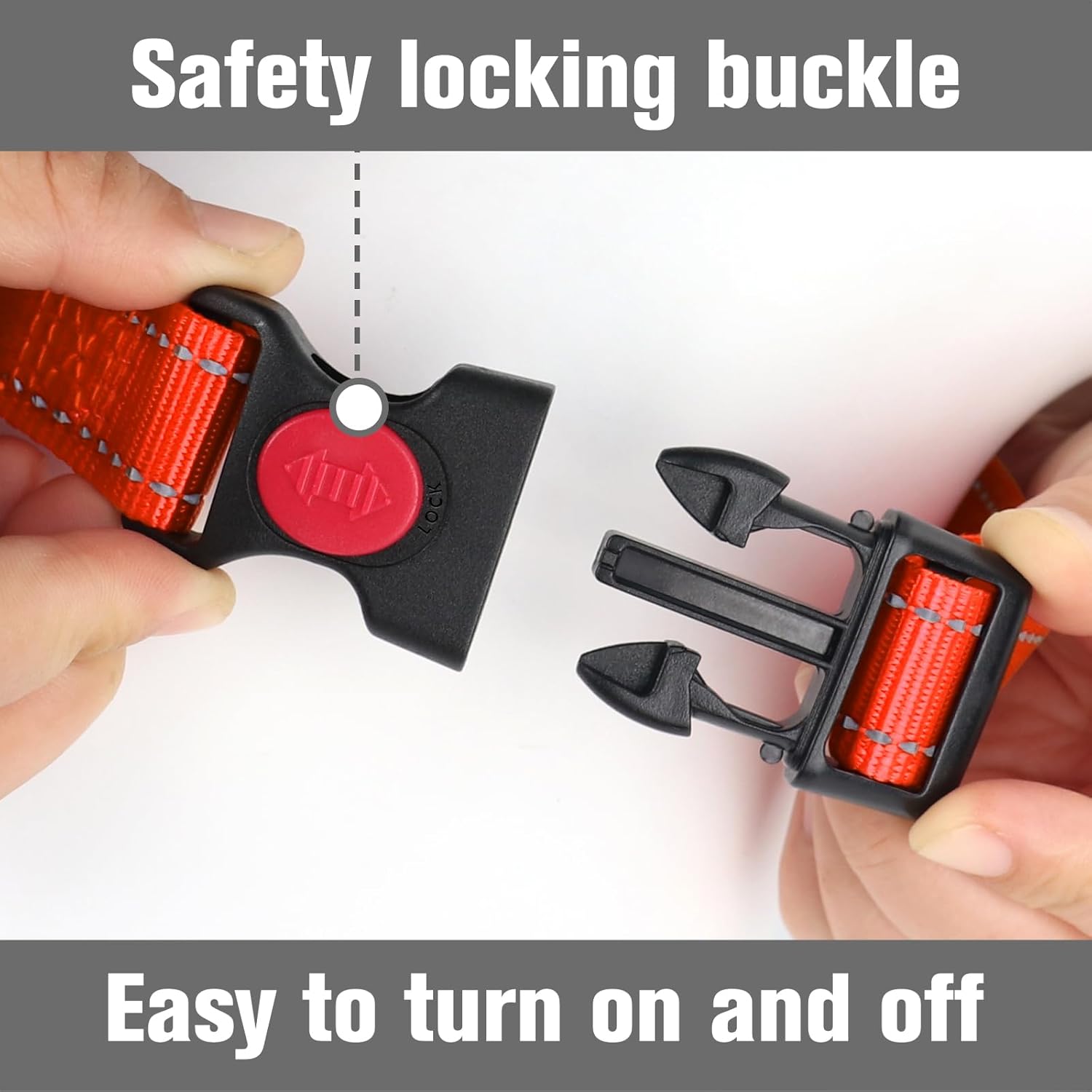 Martingale Dog Collar(16-20
