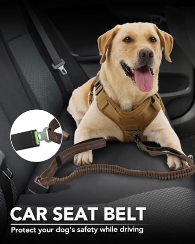 Tactical Dog Collar(17