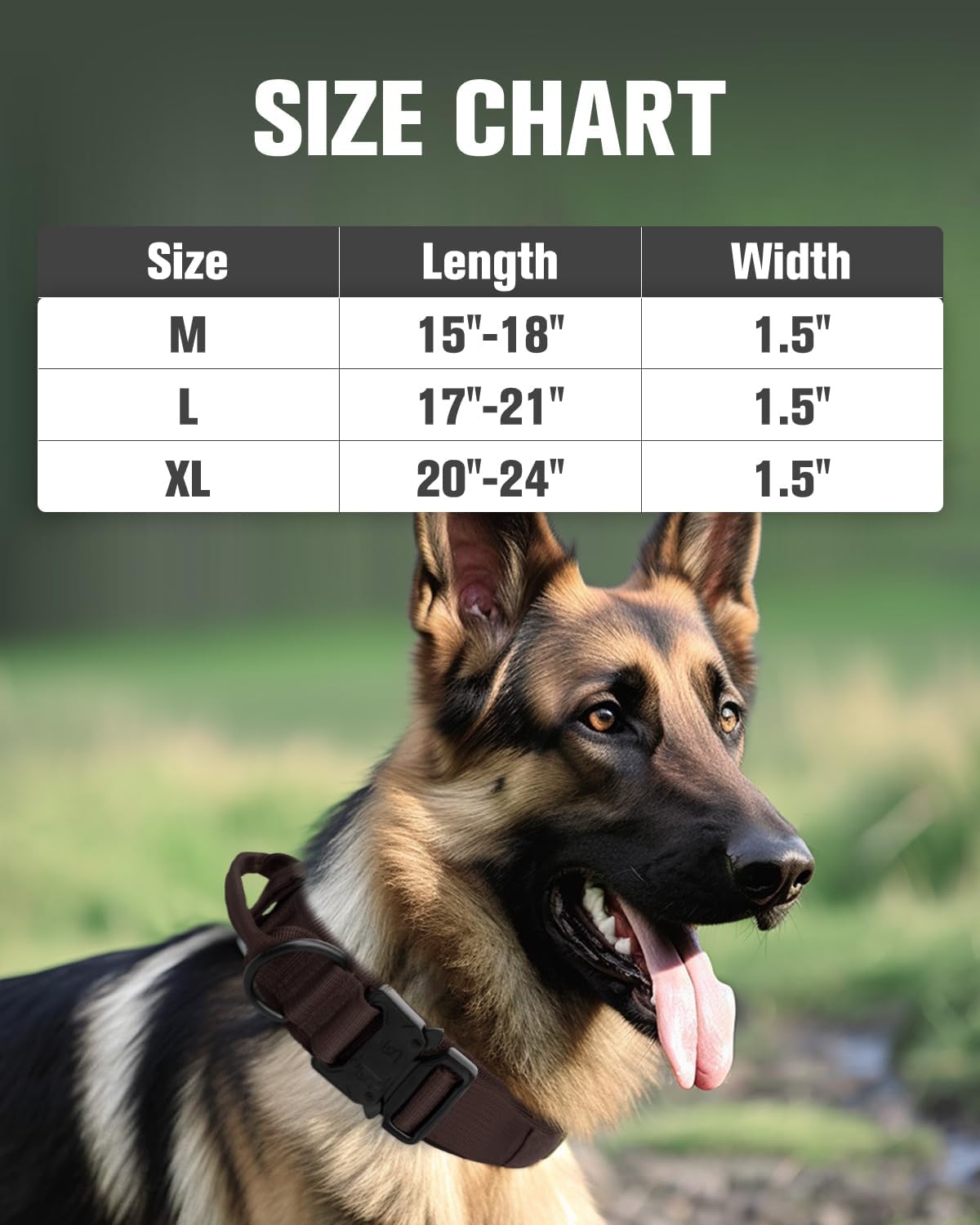 Tactical Dog Collar(17