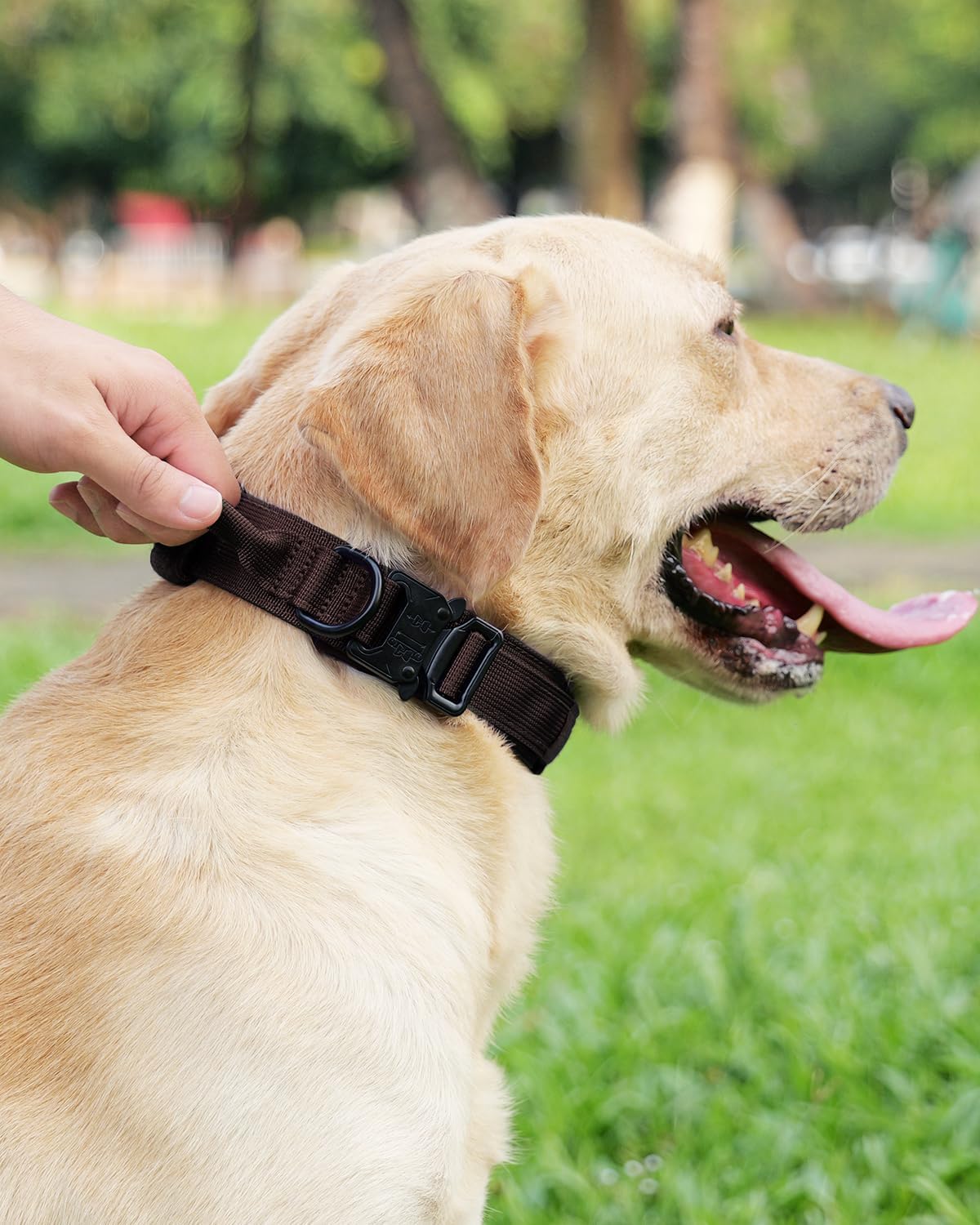 Tactical Dog Collar(17