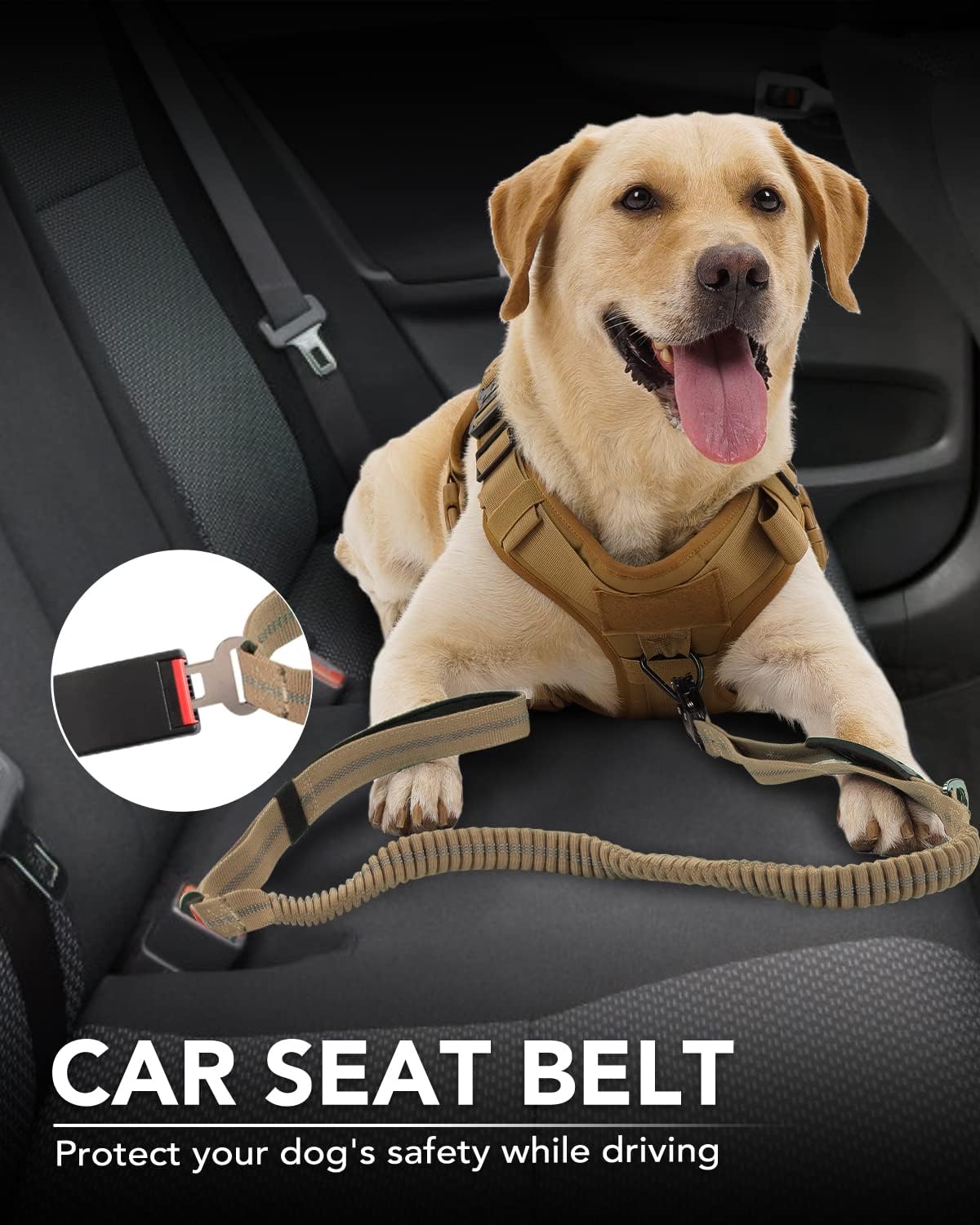 Tactical Dog Collar(17