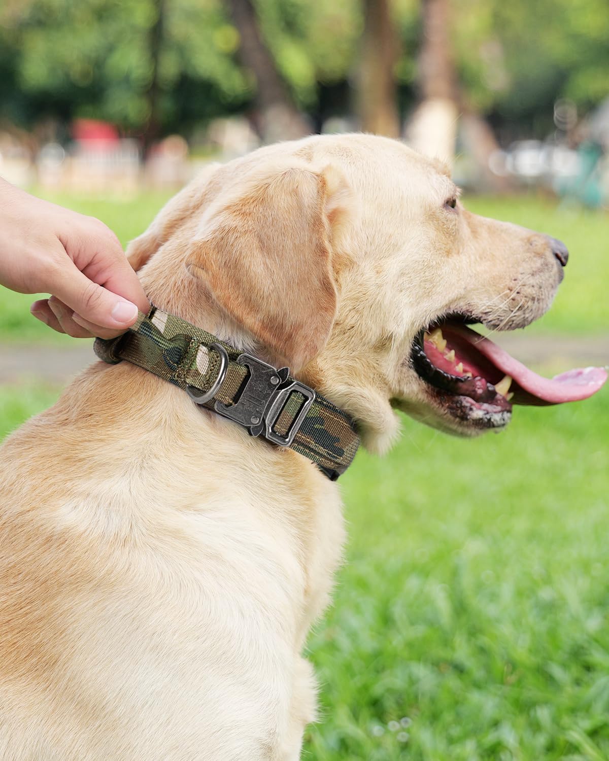 Tactical Dog Collar(17