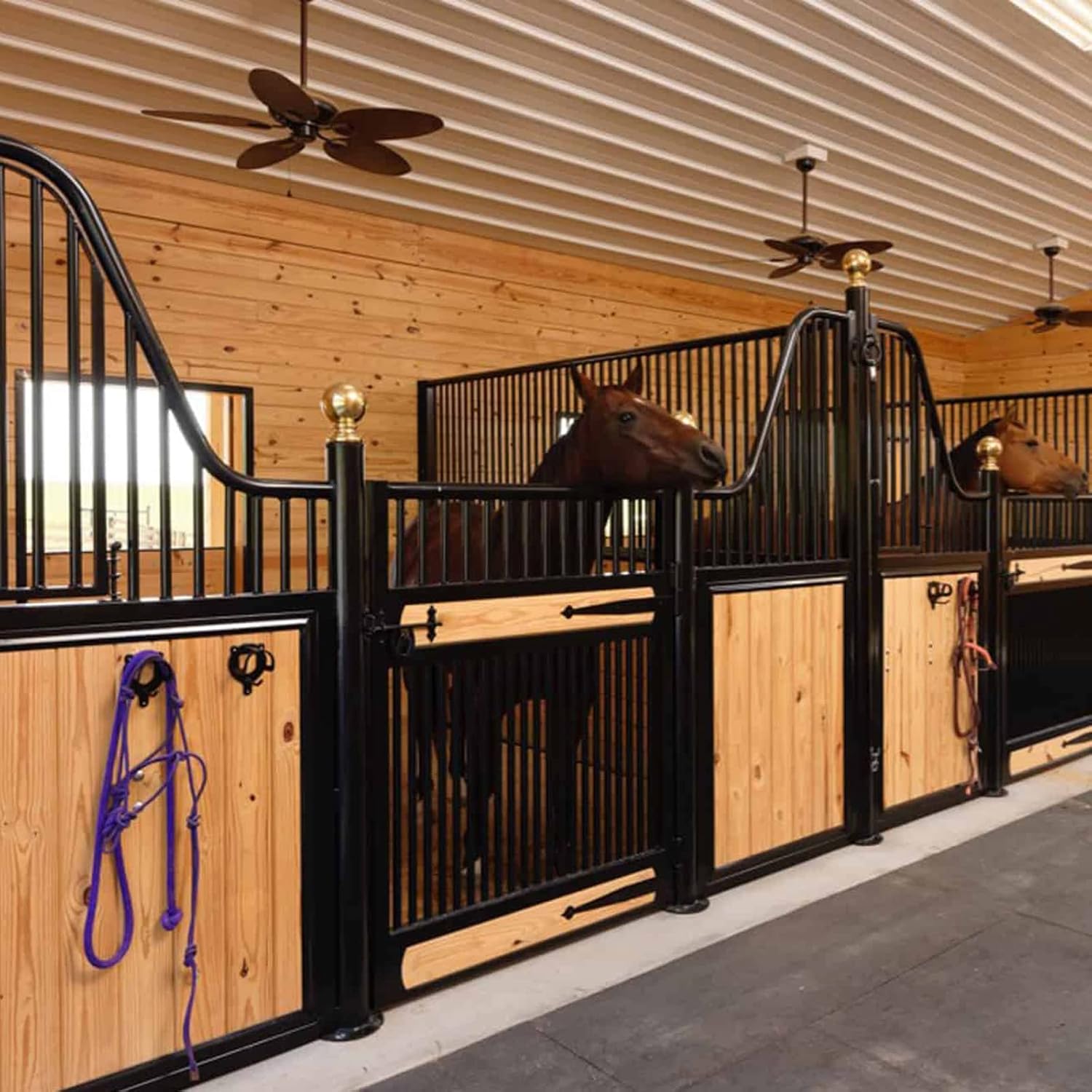6 Counts Horse Bridle Rack Bracket Hooks Metal Halter Hanger with Tubes and Screws for Barn Supplies, Black - - Image 7