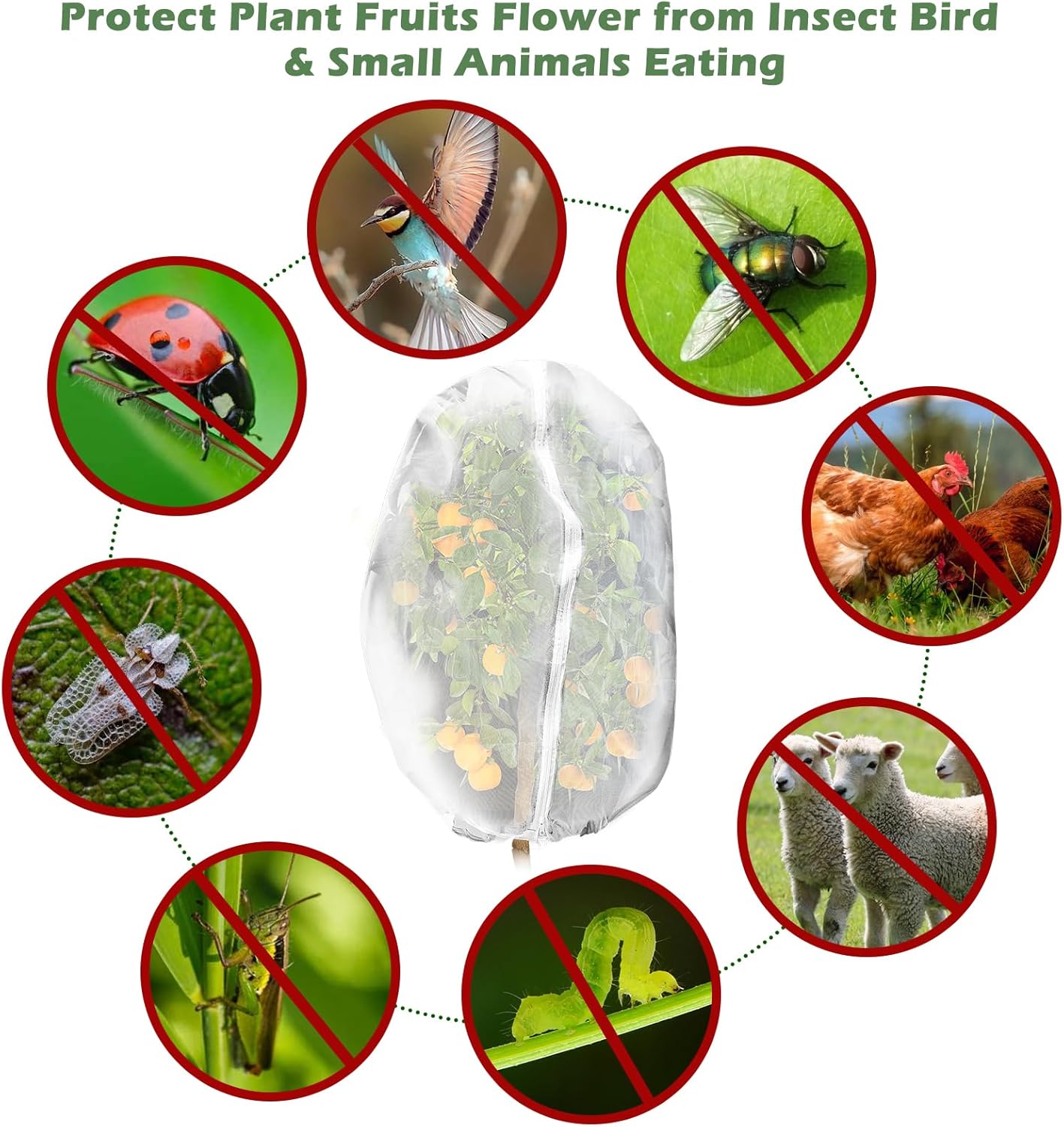 3Pcs Plant Covers from Insects, Bird Netting Barrier for Blueberry Bushes with Drawstring Zipper Mesh Garden Fruit Tree Bags Plants Net Cage Protect Tomato Vegetable Citrus, 3.3×5Ft - 3.3×5Ft/ 3pcs/ - Image 5