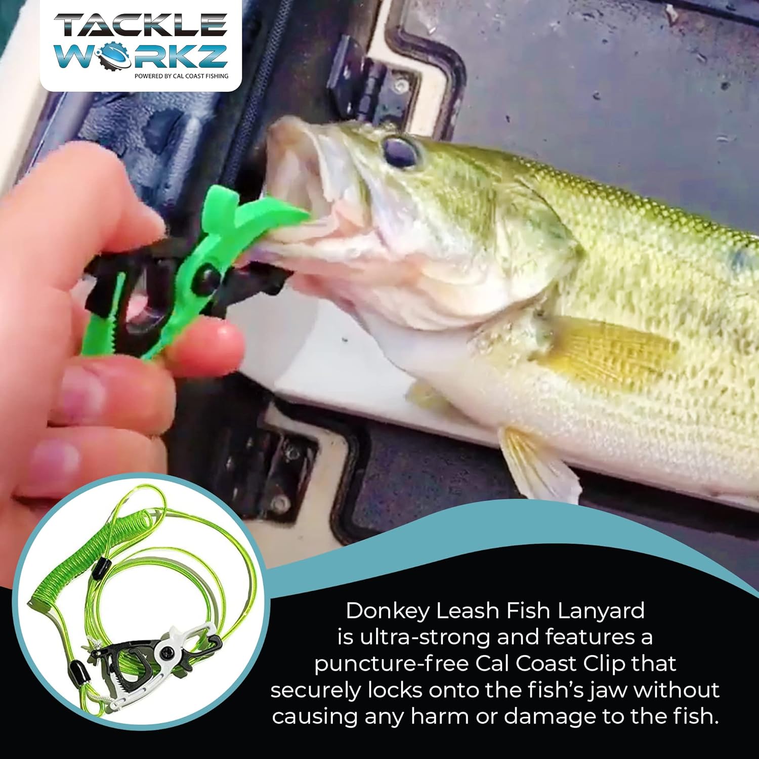 Cal Coast Donkey Leash - Floating Fishing Tether, Ultra-Strong Puncture-Free Clip, Marine Lanyard Tool - Image 5