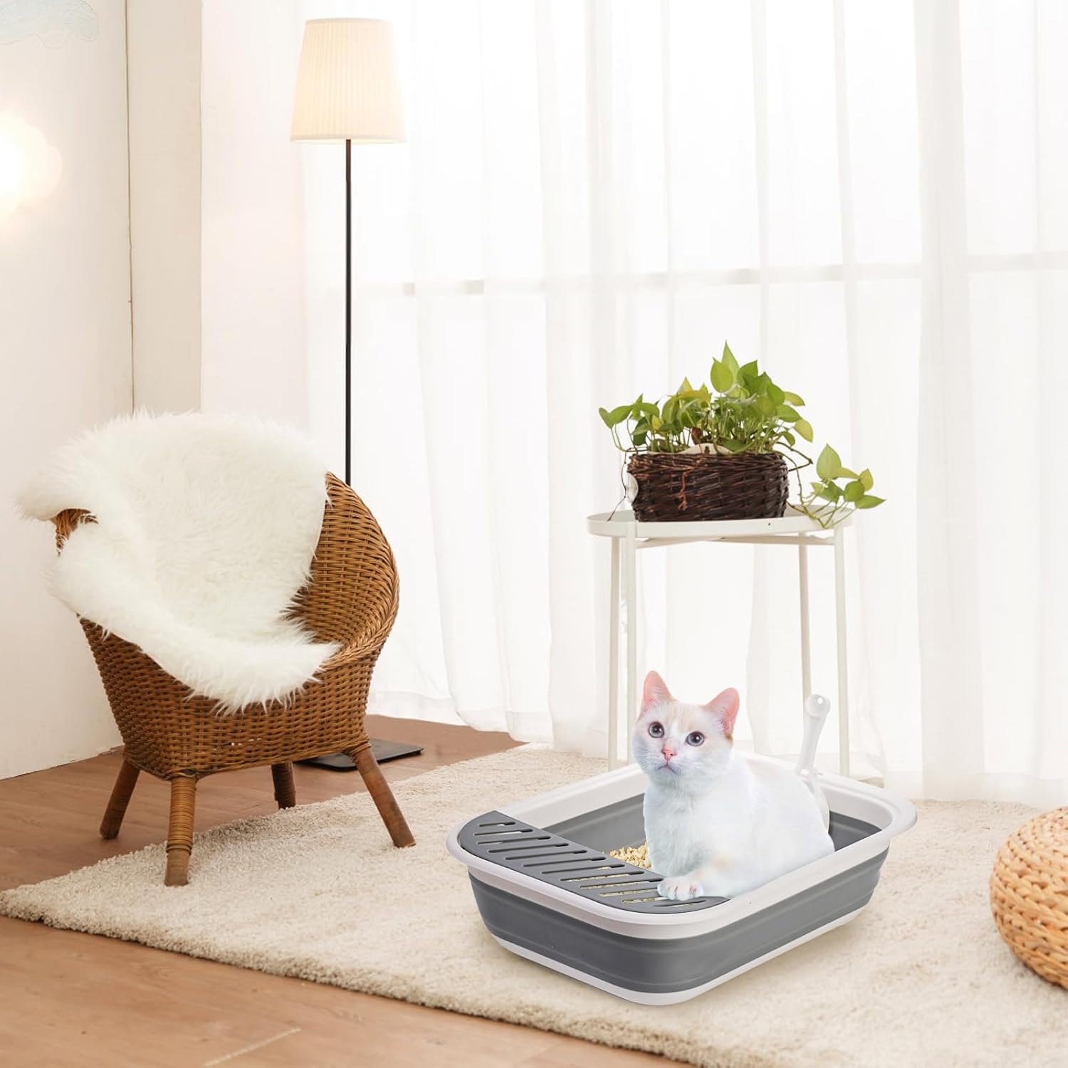 Collapsible Small Cat Litter Box, 17.7'' Open Foldable Kittens Potty with Scoop, Shallow Anti Splash Travel Toilet, Semi Enclosed Height Adjustable Sides Pan for Sick Frail Grey - Image 8