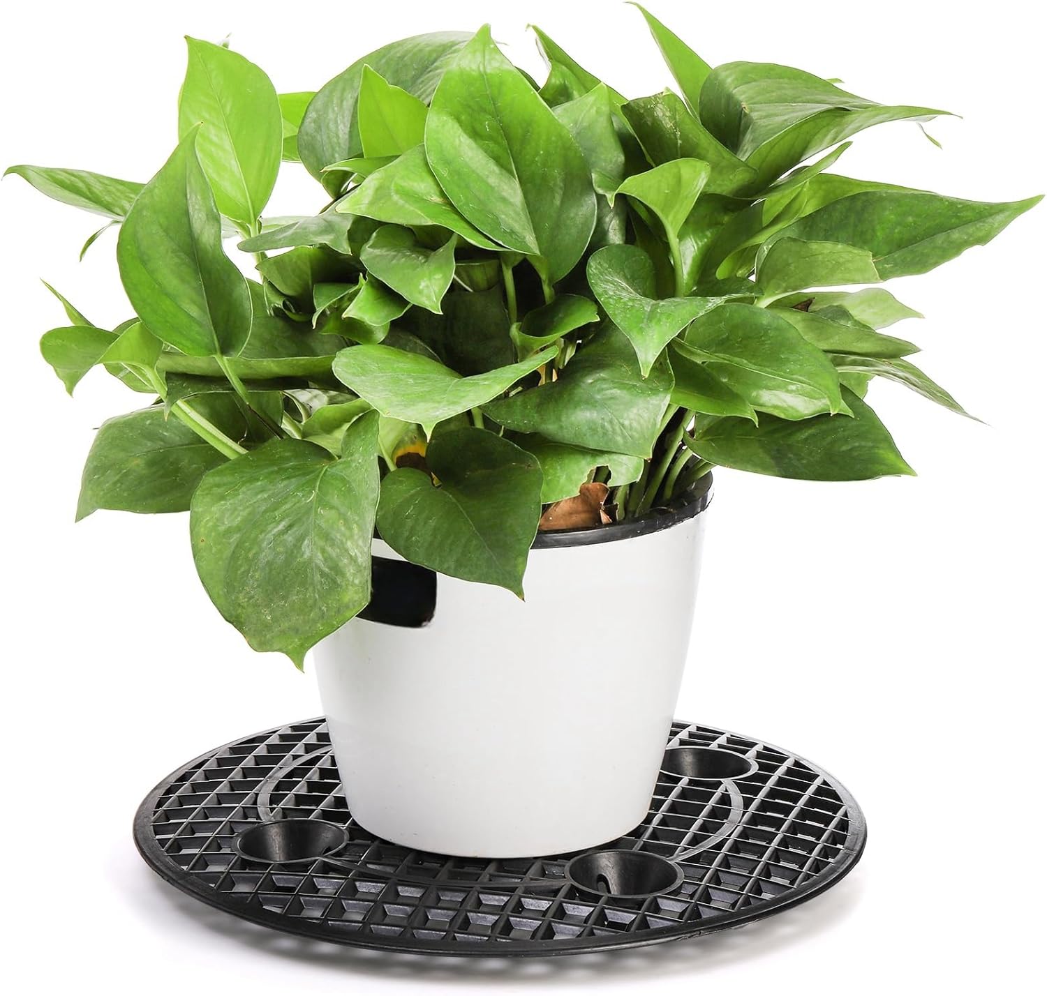 15 PCS Plant Level Pot Elevator, 12 inch Plastic Potted Stands, Large Patio Planter Riser Holder, Deck Floor Protector to Prevent Rot Damage, Trivet for Indoor Outdoor Garden - Image 4