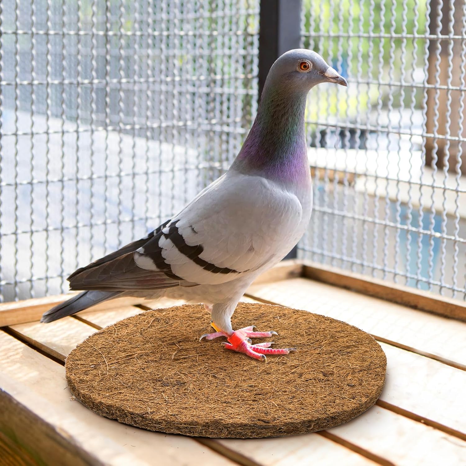 15 Packs Pigeon Nest Pads, Bird Breeding Mat for Chicken, Natural Coconut Fiber Egg Mat, Nesting Bowl Box Pad Parakeet Hatching Bedding Accessories - Image 6