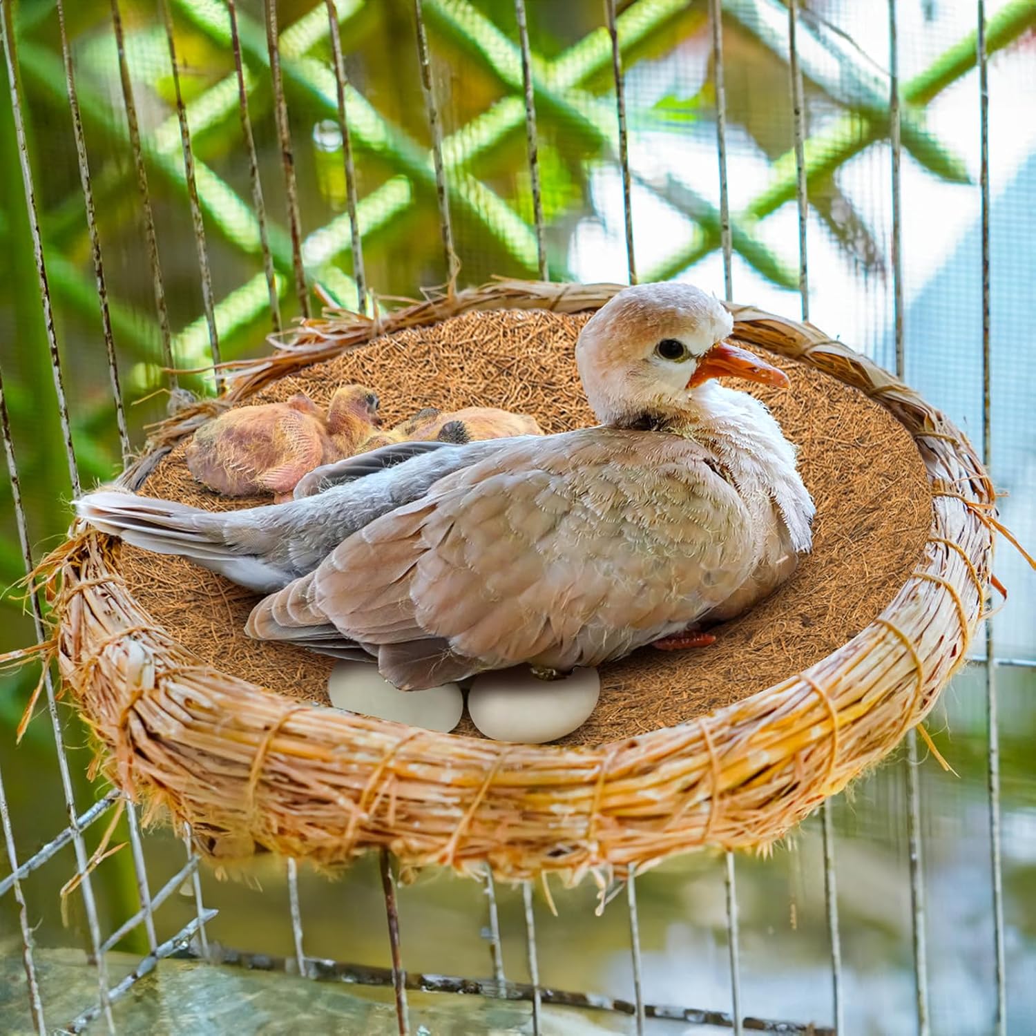 15 Packs Pigeon Nest Pads, Bird Breeding Mat for Chicken, Natural Coconut Fiber Egg Mat, Nesting Bowl Box Pad Parakeet Hatching Bedding Accessories - Image 7