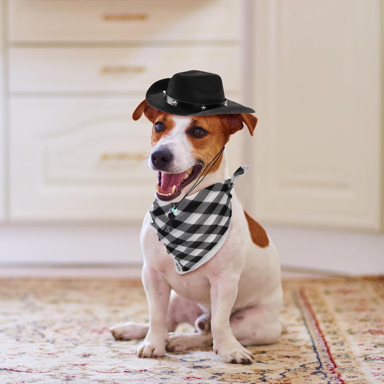 4 Pack Pet Cowboy Costume Accessories Set, 2 Pcs Hat and Bandana Scarf, Puppy Kitten Halloween Christmas Costume, West Party Cosplay Wearing for Cats Small Dogs - Image 6