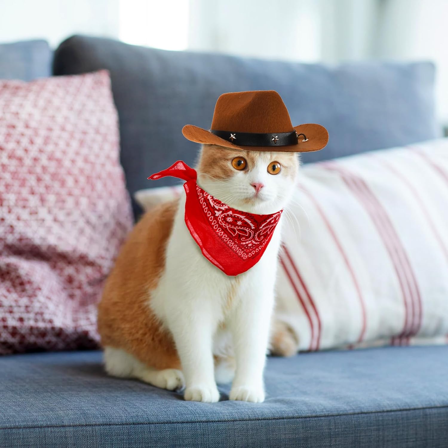 4 Pack Pet Cowboy Costume Accessories Set, 2 Pcs Hat and Bandana Scarf, Puppy Kitten Halloween Christmas Costume, West Party Cosplay Wearing for Cats Small Dogs - Image 7