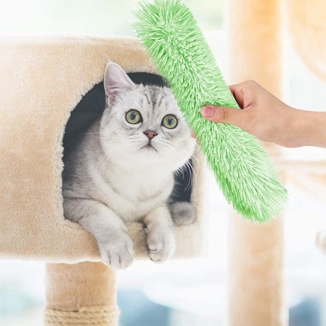 3-pack catnip toys for adult indoor kittens - interactive plush cat toys with built-in catnip and sounds - small - Image 6