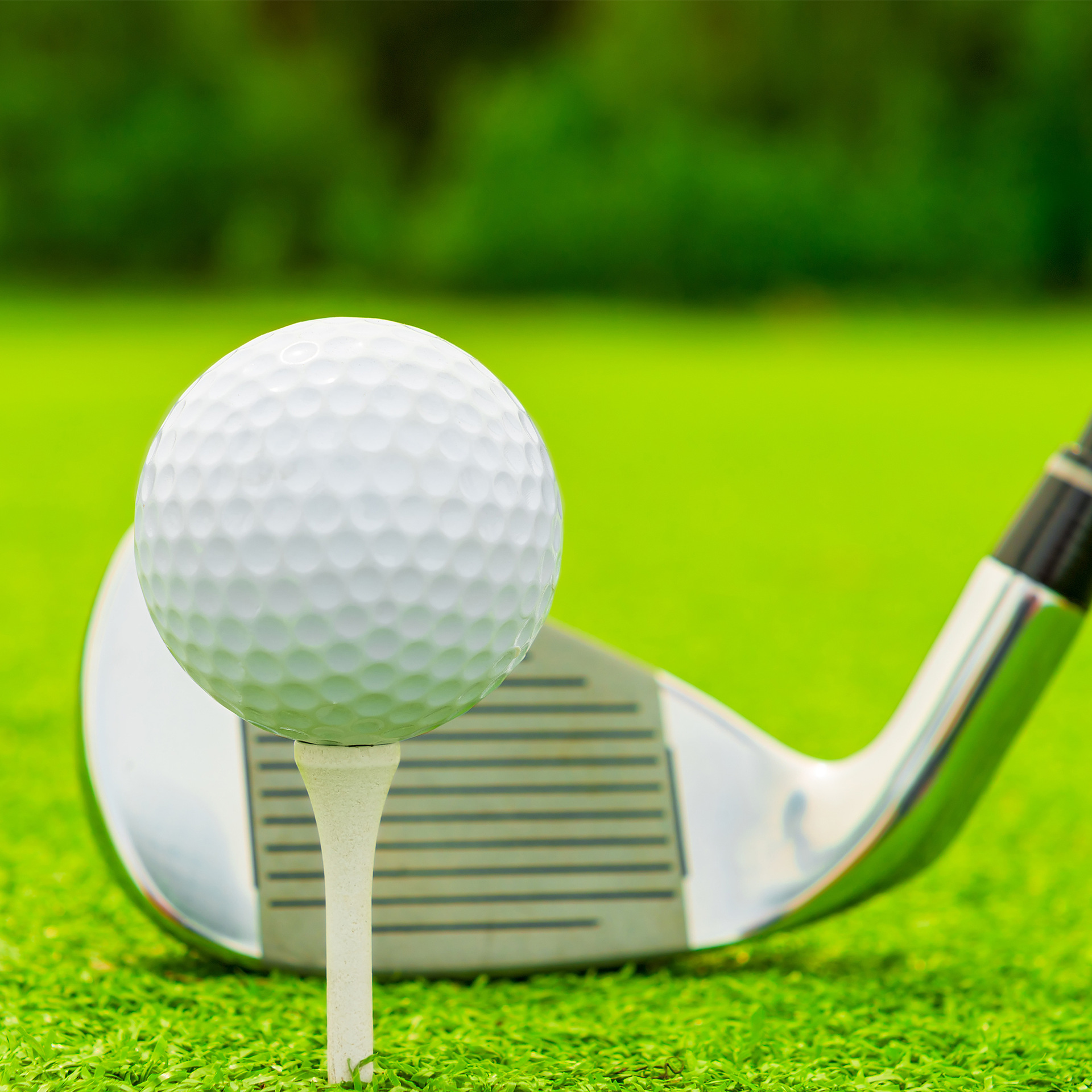 Golf Tees - Wit - Wooden - 50 Pins - Image 3
