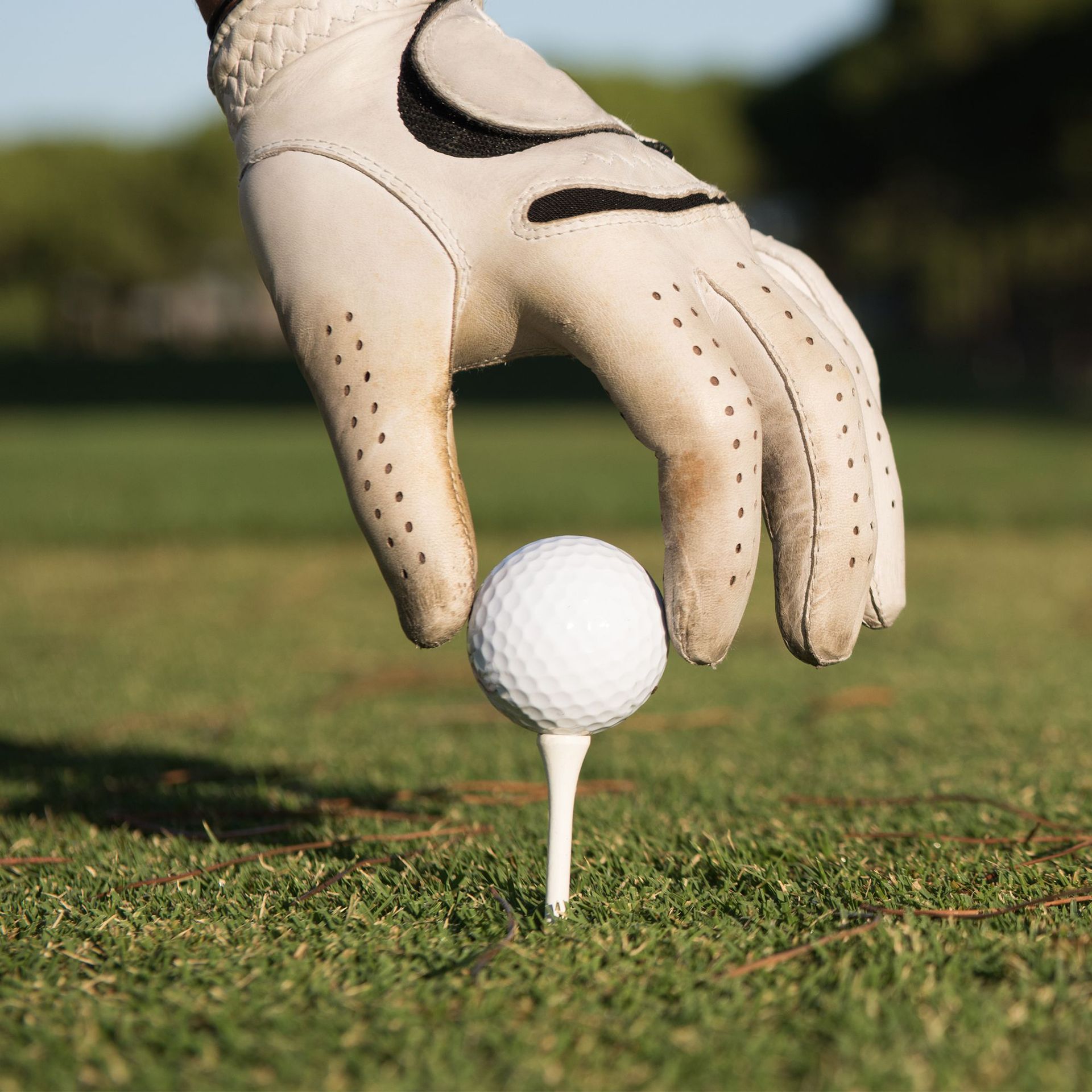 Golf Tees - Wit - Wooden - 50 Pins - Image 4
