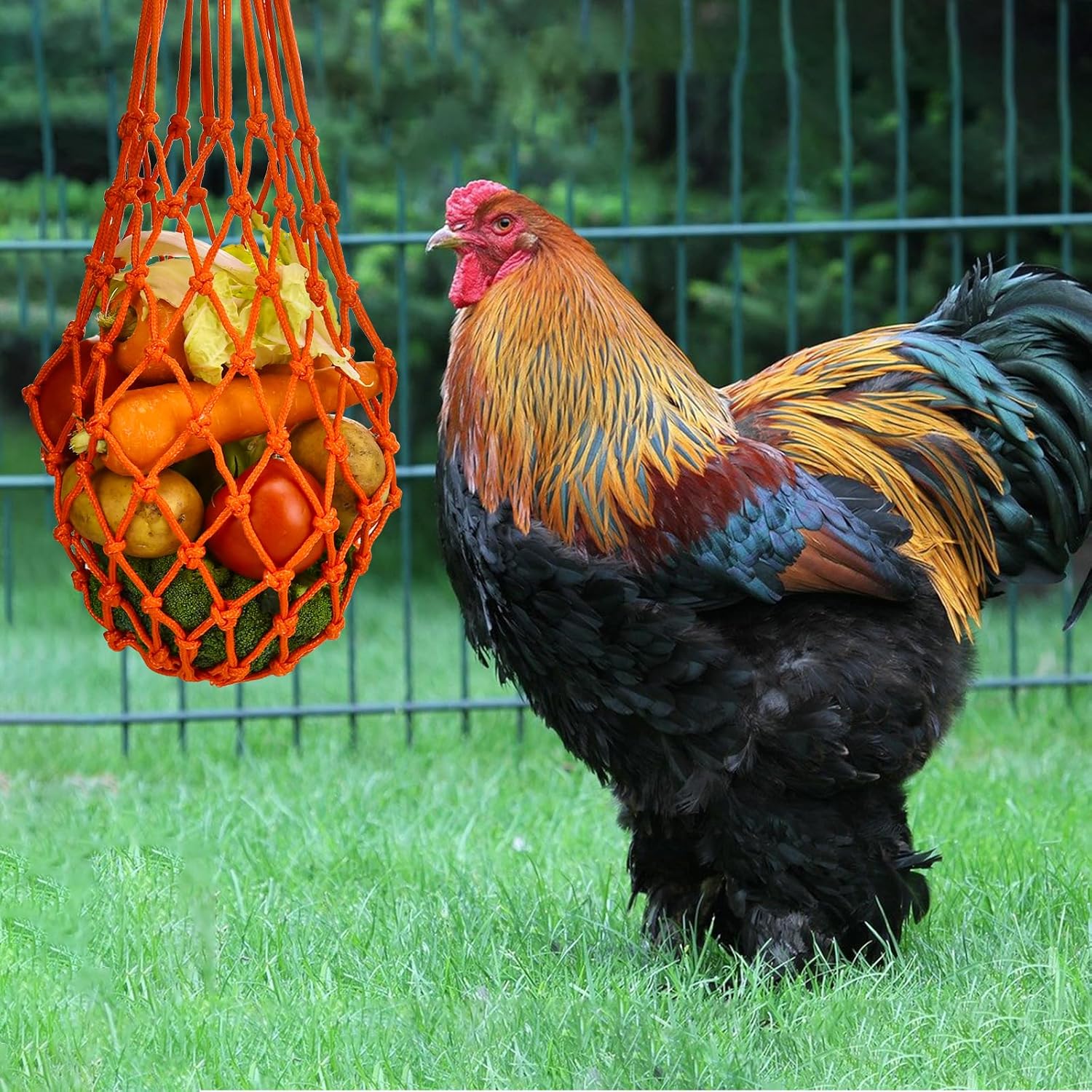 Feed bag - Feed net bag - Chicken, duck and goose feed net bag - Hanging - With carabiner - Feed tray for fruit and vegetables - 60 cm - 2 colours - Image 5