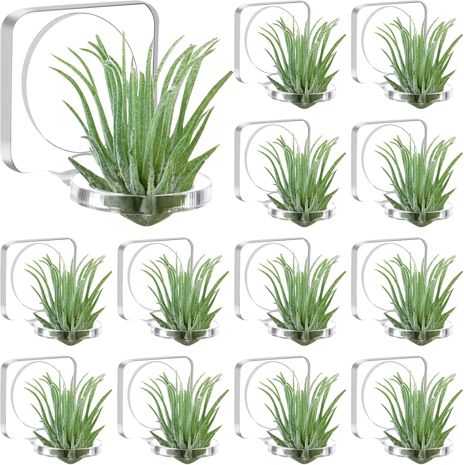 12 Pcs Acrylic Air Plants Holder Hanger with Mounting Tape or Hanging Air Plants on Glass Display Home Decoration - Image 1