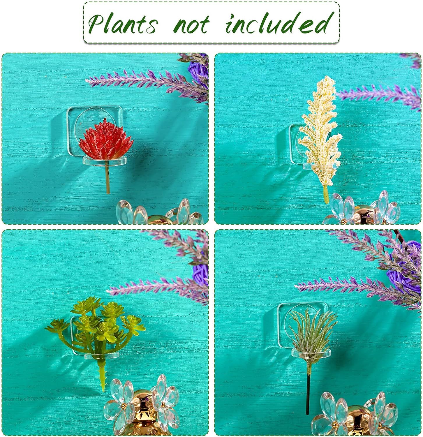 12 Pcs Acrylic Air Plants Holder Hanger with Mounting Tape or Hanging Air Plants on Glass Display Home Decoration - Image 4