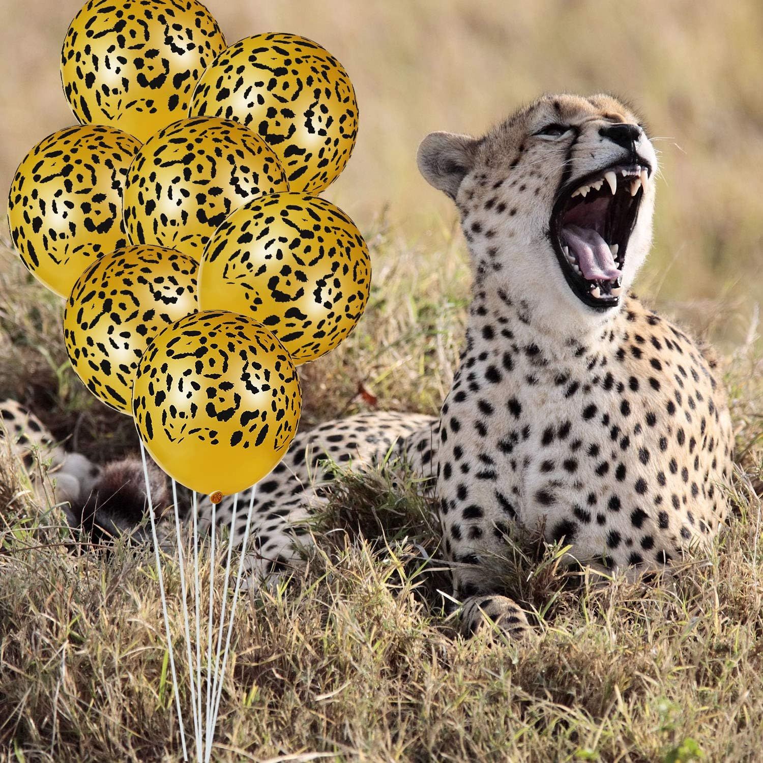 60 Pcs Cheetah Balloons Gold Leopard Print Balloons 12 Inch Spots Latex Leopard Animal Party avors or Saari Jungle Theme Birthday Party Baby Shower Decoration Supplies - Image 5