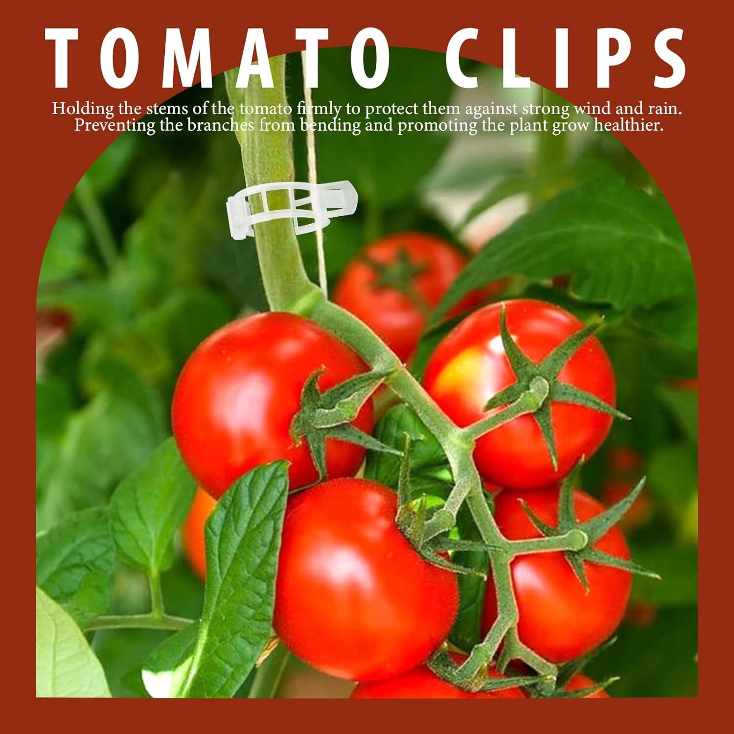 300 PCS Plant Support Clips, Plastic Garden Plant Ties, Tomato Clips Trellis or Tomato Cucumber lower Squash Vine, 1” Inner Diameter or Climbing Plants - Image 2