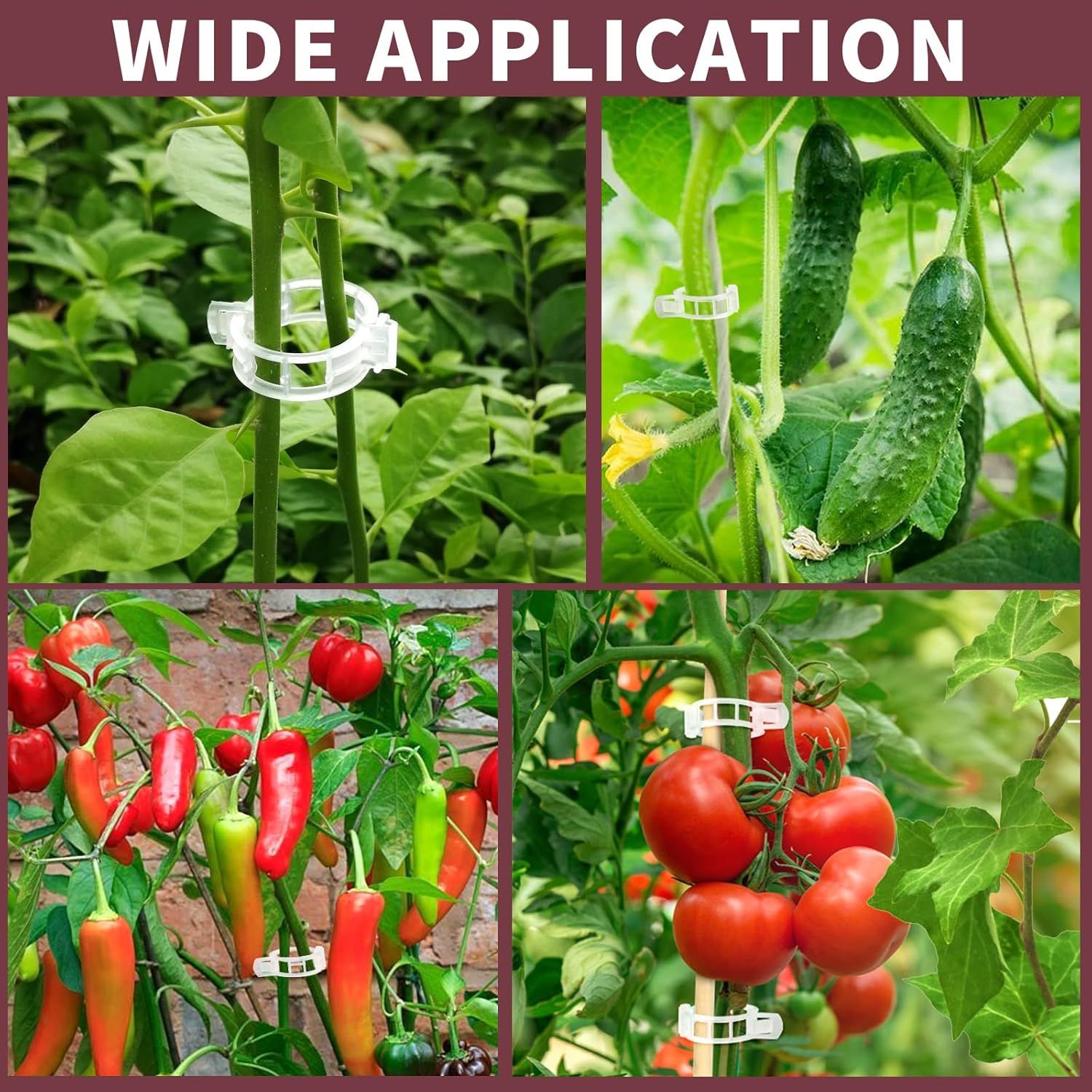 300 PCS Plant Support Clips, Plastic Garden Plant Ties, Tomato Clips Trellis or Tomato Cucumber lower Squash Vine, 1” Inner Diameter or Climbing Plants - Image 7