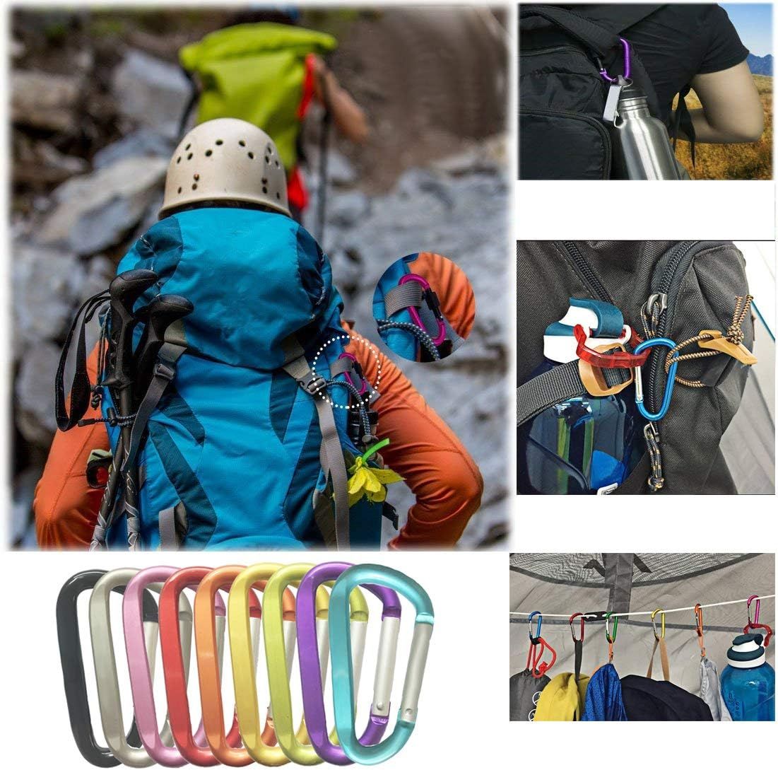 Large Carabiners Keychain 3