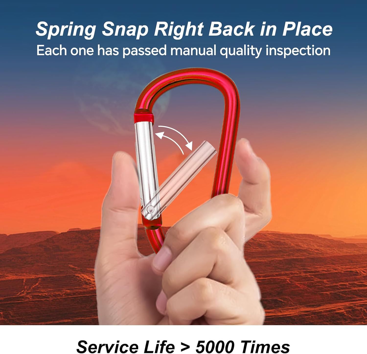 Carabiner Clip Multi Size Pack, Aluminum Carabiner Includes Small 2 Inch Carbineers, Medium 2.3