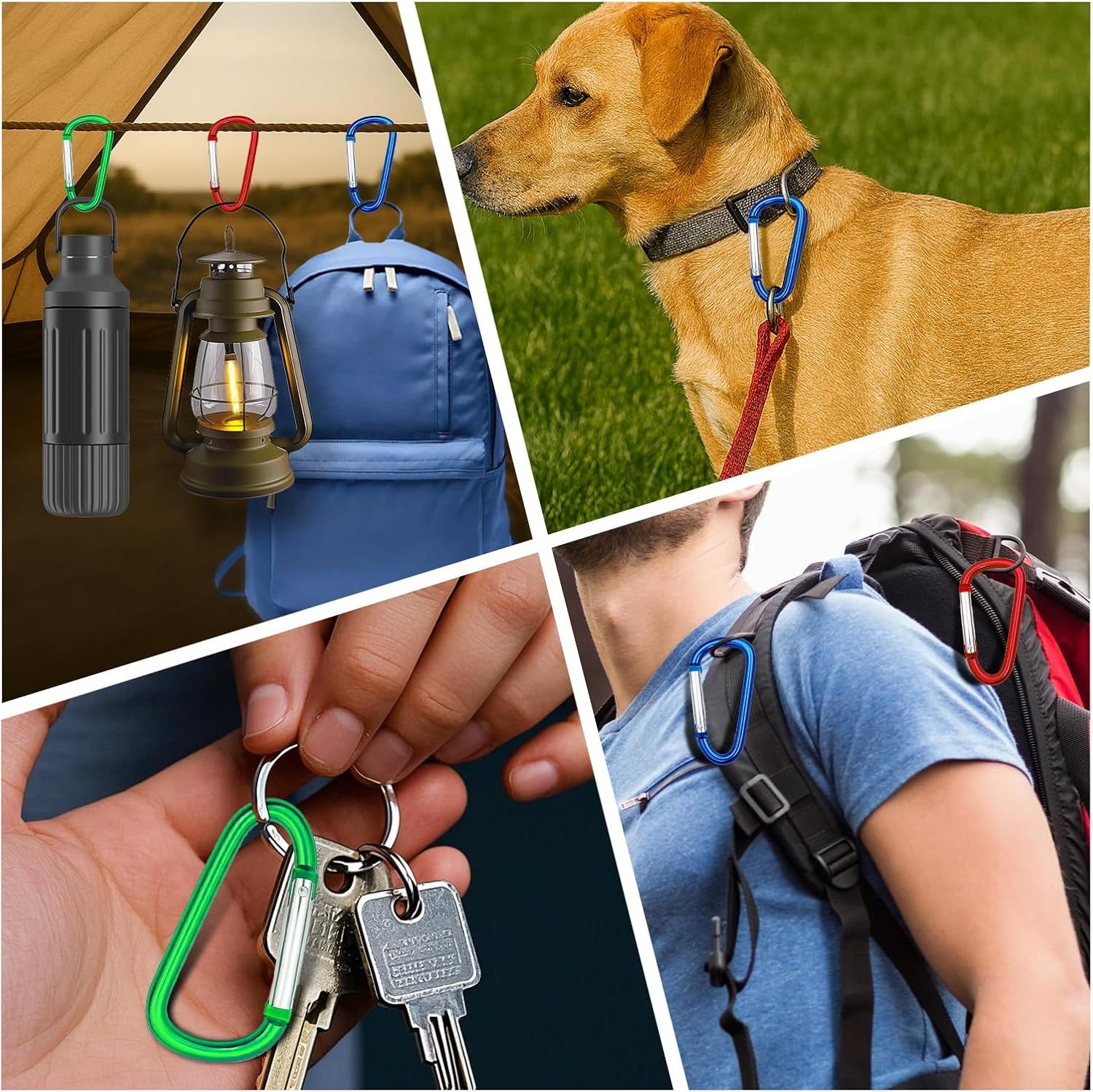 Carabiner Clip Multi Size Pack, Aluminum Carabiner Includes Small 2 Inch Carbineers, Medium 2.3