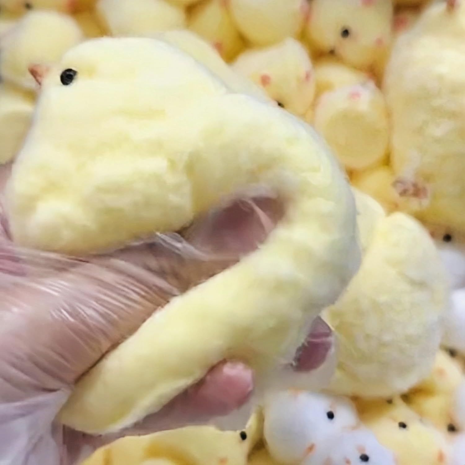 Handmade Chick Squeeze Toys Ultra Soft Squishy Fidget Toys Silicone Squishies Toys for Stress Relief ( Chicken ) (1pcs) - Image 4