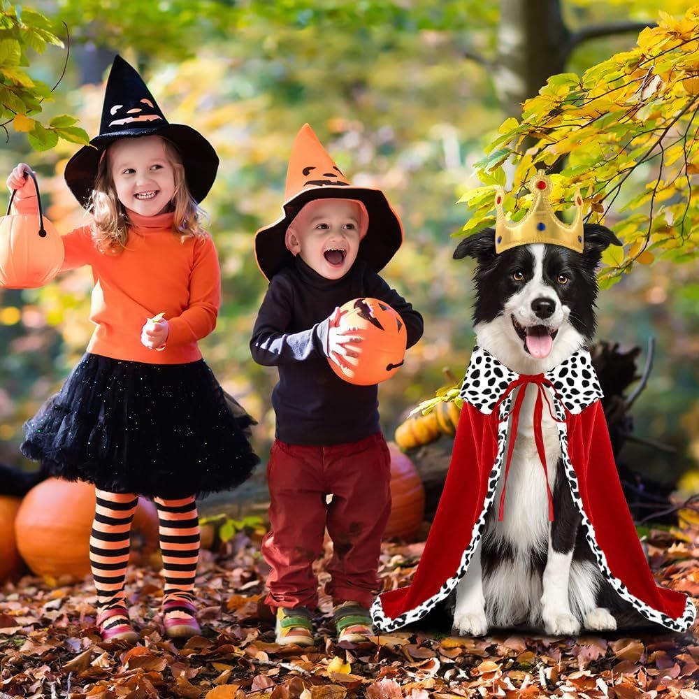 Halloween Dog King Cloak Costume,Cute Funny Halloween Dog King Cape with Crown Adjustable Pet King Cloak for Large Dogs Cats Cosplay Party Supplies Accessories (L) - Image 5