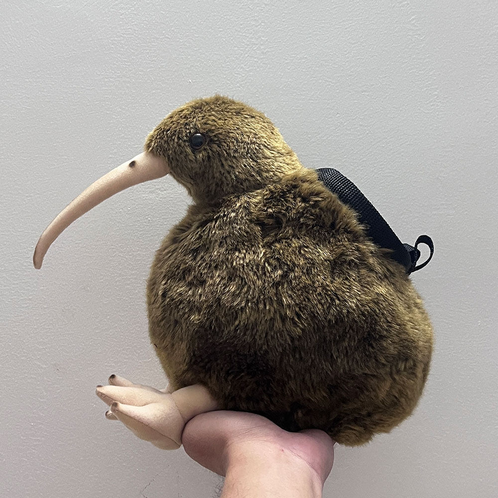 Kiwi Chalk Bag Rock Climbing Equipment - Image 1