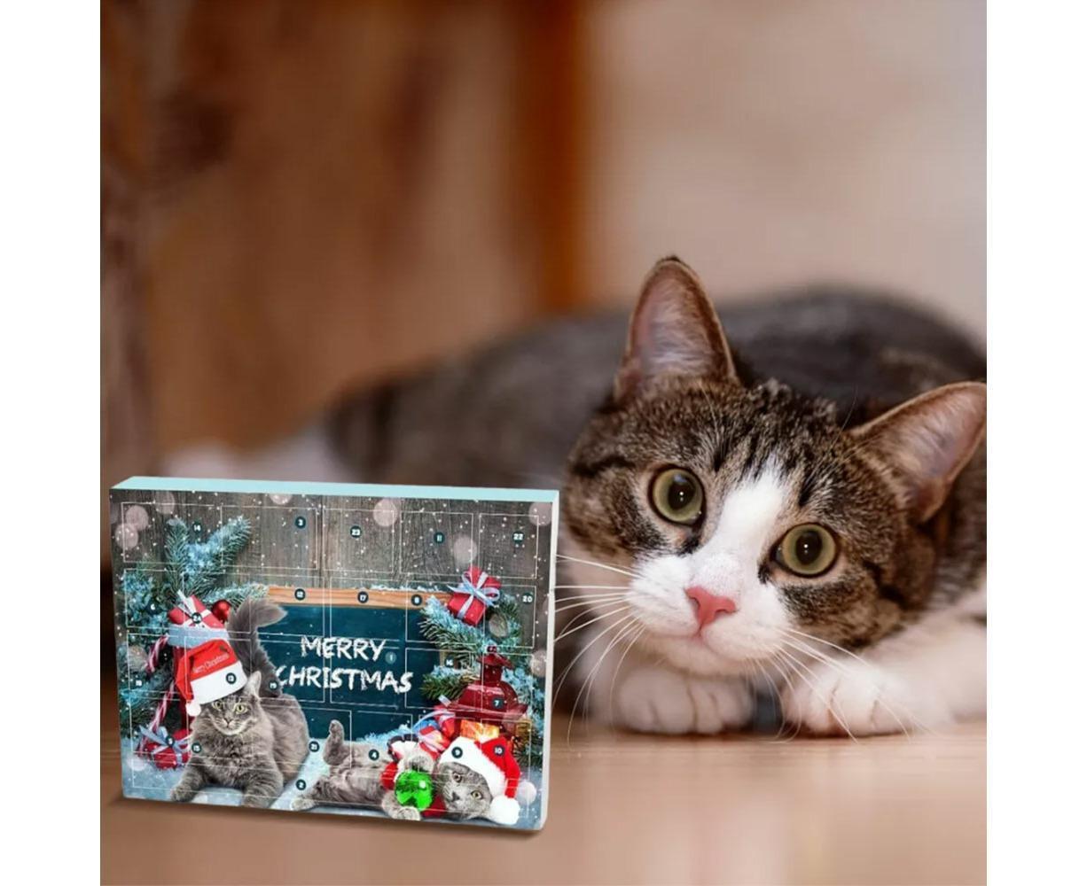 Cat Advent Calendar 2024 Christmas Countdown Calendar Xmas Gift for Kitten Toys 24Pcs - Image 3