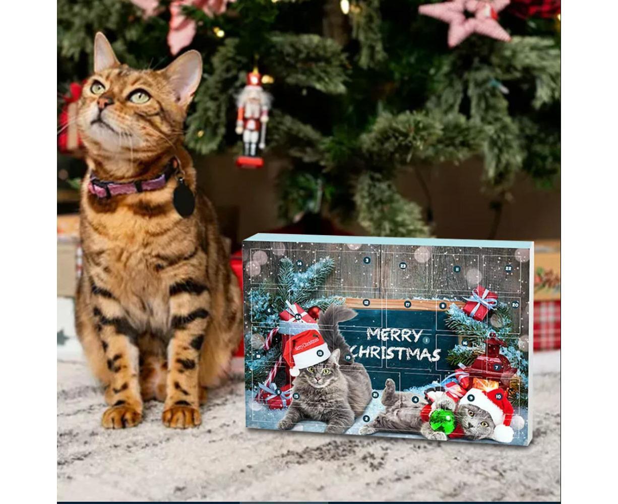 Cat Advent Calendar 2024 Christmas Countdown Calendar Xmas Gift for Kitten Toys 24Pcs - Image 6