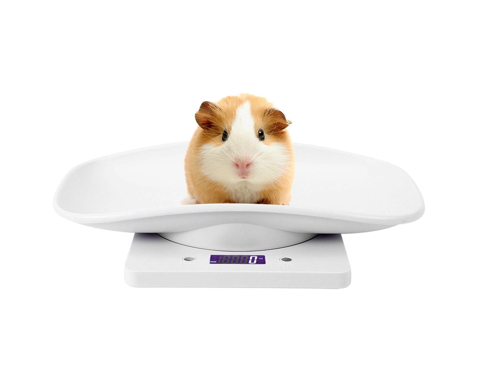 10kg/1g Digital Small Pet Weight Scale for Cats Dogs Measure Tool Electronic Kitchen Scale - Image 5