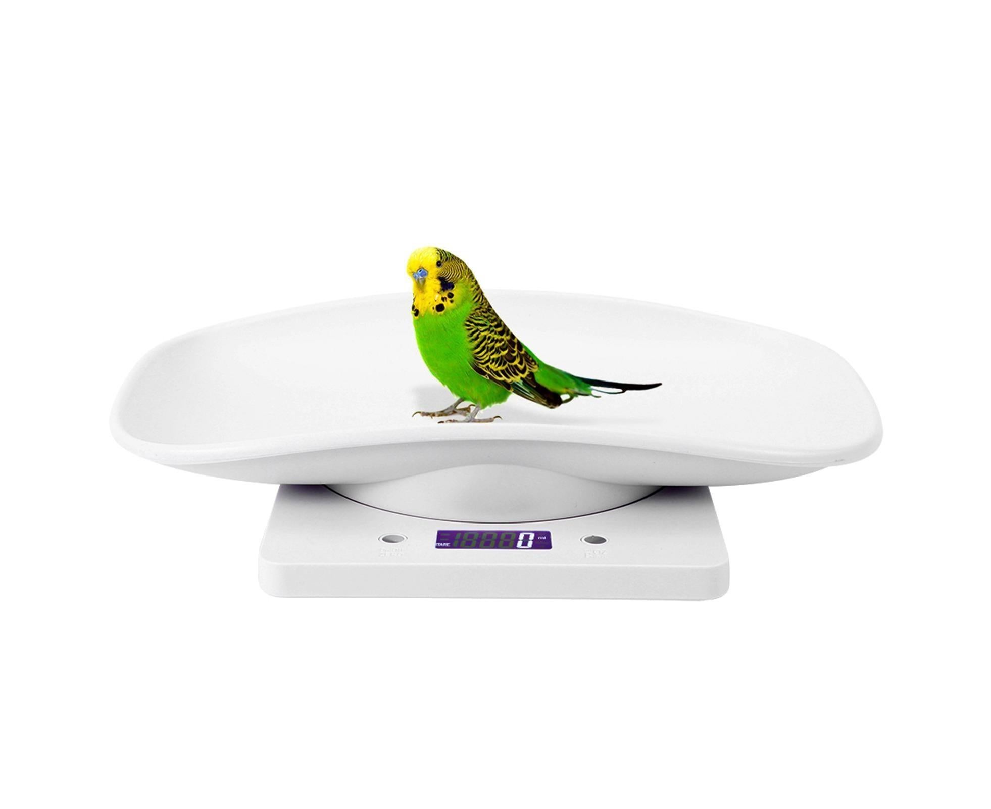 10kg/1g Digital Small Pet Weight Scale for Cats Dogs Measure Tool Electronic Kitchen Scale - Image 6