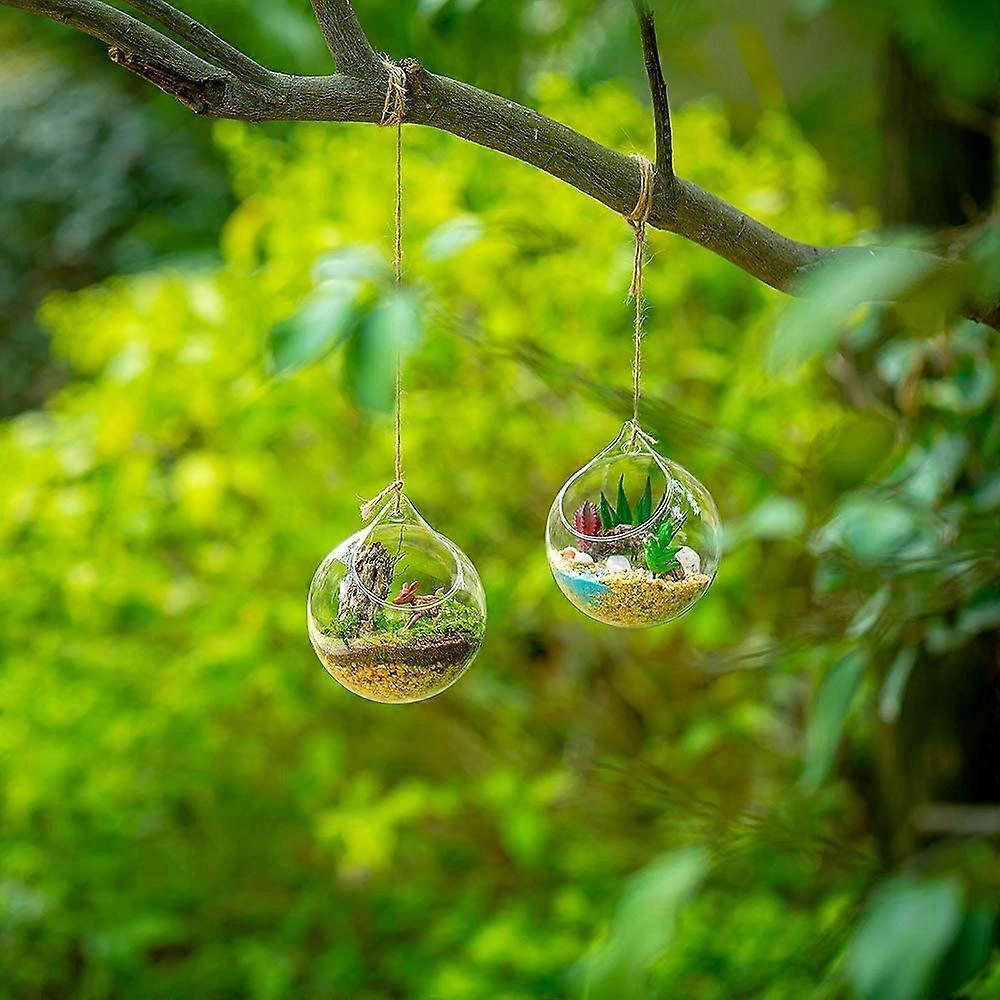 4pcs Hanging Glass Terrarium, Large Opening Vase, 10cm Plant Ball, Glass Ball for Home Planter, Wedding, Garden, DIY Design - Image 3