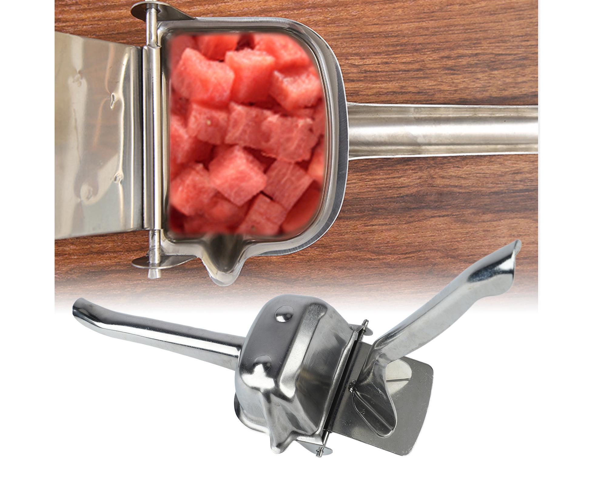 Stainless Steel Lemon Squeezer, Heavy Duty Citrus Juicer with Long Handle for Fruits - Image 2