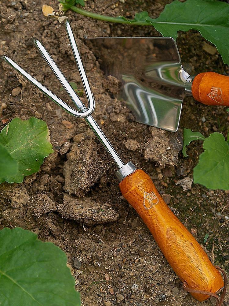 Garden Tool Set Seeder Outdoor Tools Gardening Tools Stainless Steel Plant Edgs Tweezers Flowers Gardening Shovels - Image 4