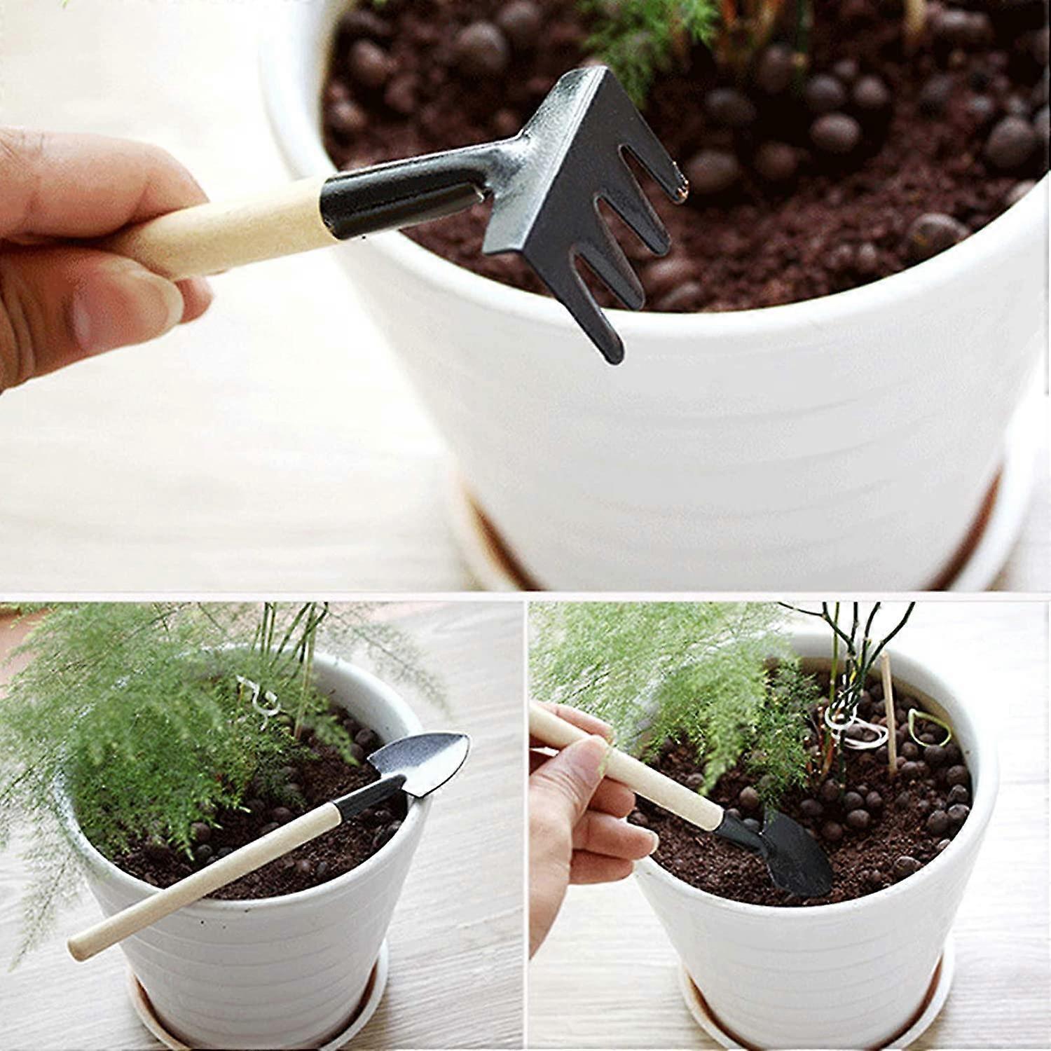 12 Pcs Gardening Tool Set Succulent Tool Kit,Houseplant Rake Mini Gardening Hand Tools,Small Shovel/Rake/Spade - Image 3
