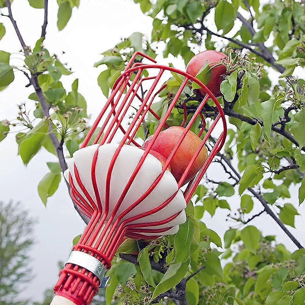 Metal Fruit Picker with Claw, Metal Fruit Picking Tool, Gardening Tools for Harvesting Apples, Citrus, Pears, Peaches - Image 3