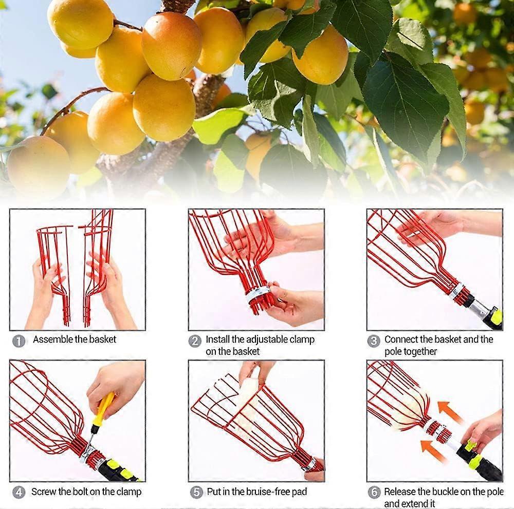 Metal Fruit Picker with Claw, Metal Fruit Picking Tool, Gardening Tools for Harvesting Apples, Citrus, Pears, Peaches - Image 4