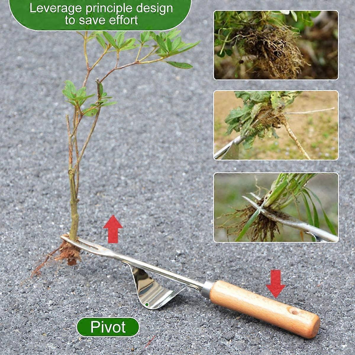 Manual Weeding Tool, 2 Pieces Handheld Weeder Dandelion Removal Tool, Garden Weed Puller with Non-Slip Handle - Image 4