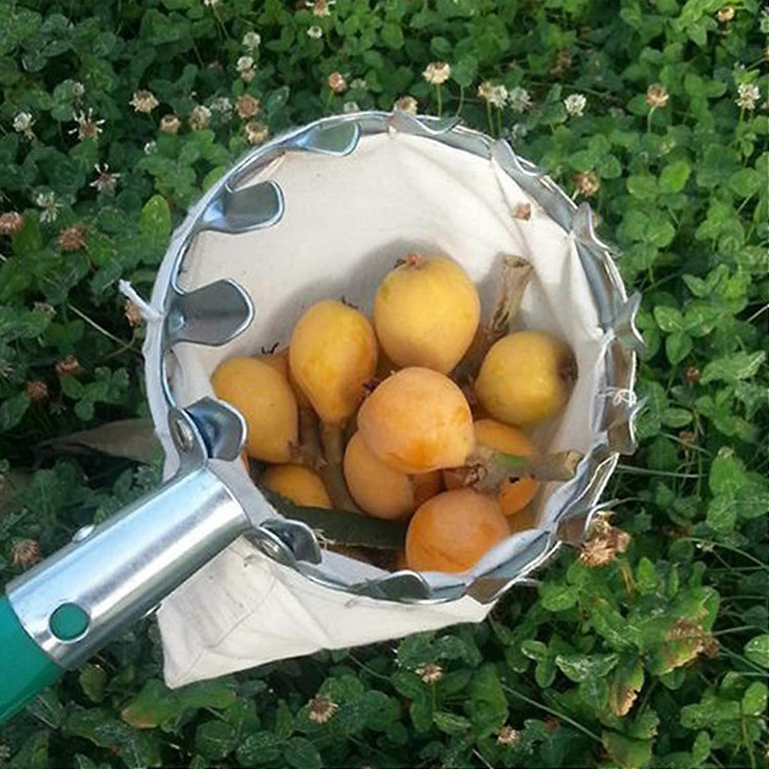 Fruit Picking Tool,Fruit Pickers Gardening Picking Tools Metal Fruit Picker with Collection Bag for Harvesting Apples, Citrus, Pears, Peaches - Image 4