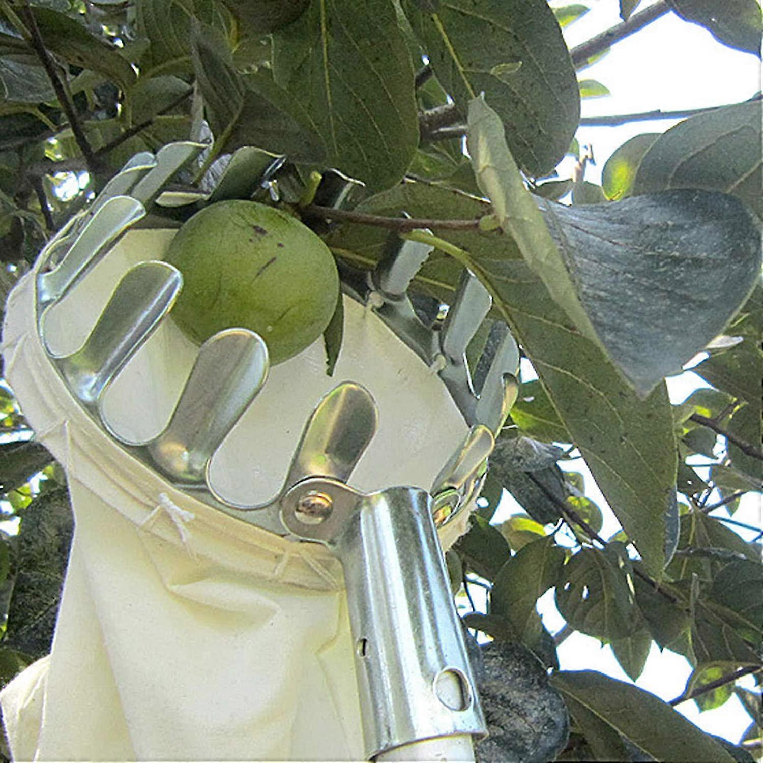 Fruit Picking Tool,Fruit Pickers Gardening Picking Tools Metal Fruit Picker with Collection Bag for Harvesting Apples, Citrus, Pears, Peaches - Image 5