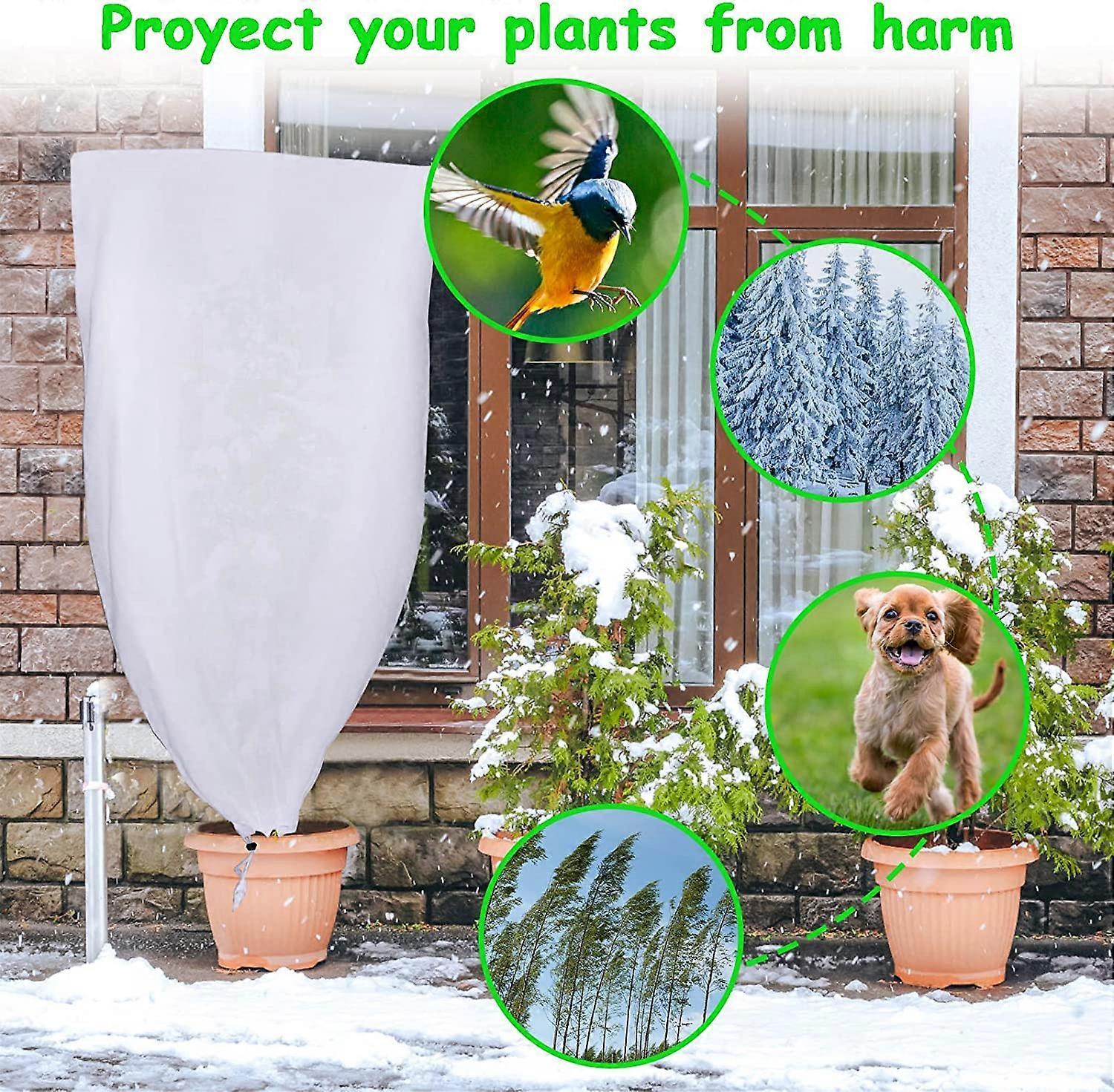 2 Pack Plant Protection Plant Overwintering Cover, Overwintering Protection Veil with Zipper for Trees, Palms, Outdoor Use (80 * 100) - Image 5