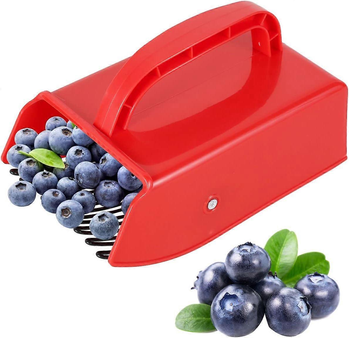 Blueberry Comb Berry Picker with Metal Fruit Picker Comb for Currants, Blackcurrants, Picker - Image 1