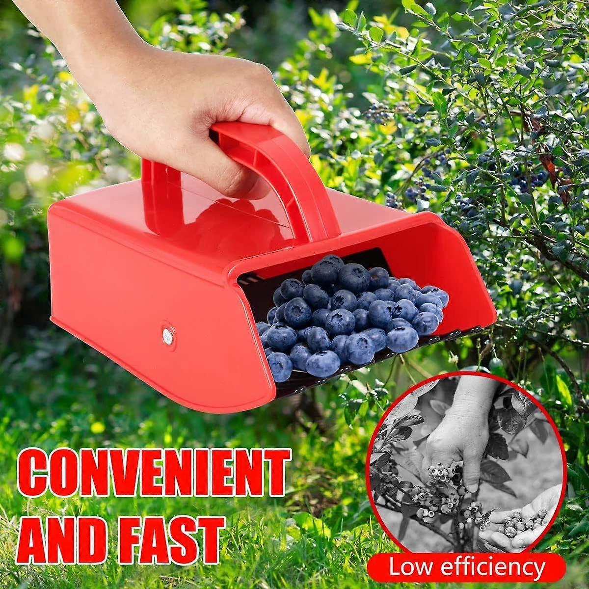 Blueberry Comb Berry Picker with Metal Fruit Picker Comb for Currants, Blackcurrants, Picker - Image 2