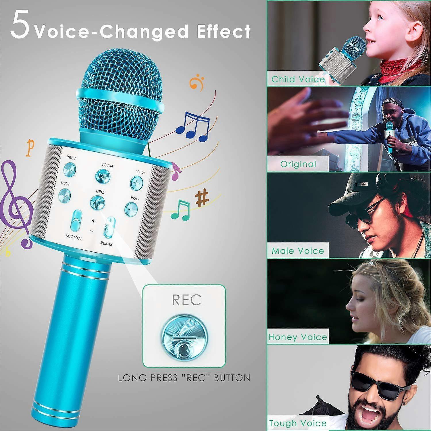 Portable Wireless Handheld Karaoke Microphone - babies Microphone - Image 4